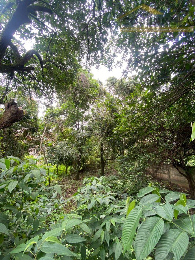 WhatsApp Image 2026-01-22 at 16.47.13 (7).jpeg